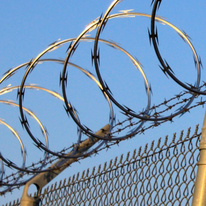 Electric fence razor wire